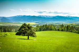 Pod Západnými Tatrami