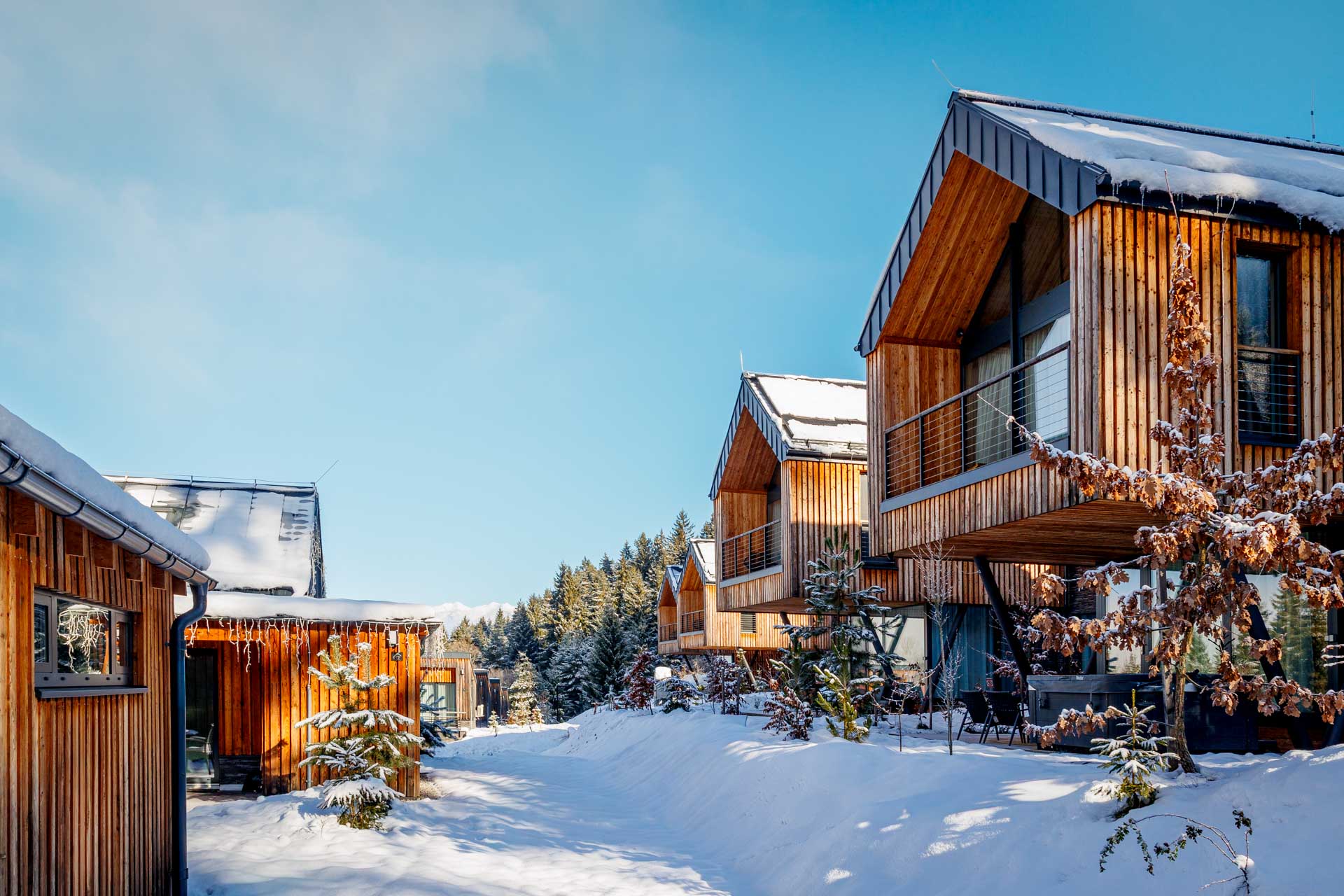 Chalet Premium + sauna zima
